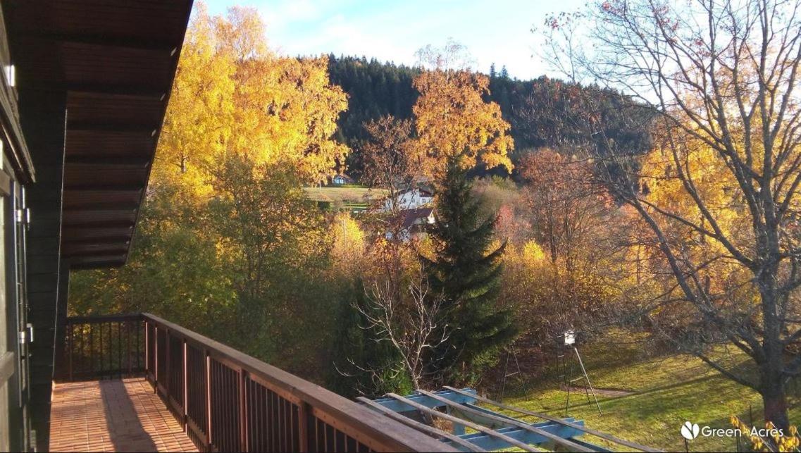 Chalet Les Chardons Gérardmer Kültér fotó